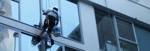 WINDOW CLEANING